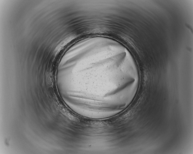 X0000102761018200809021003