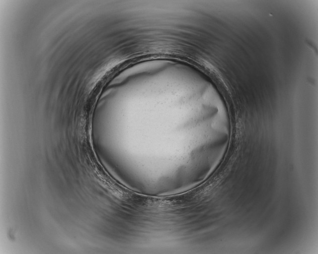 X0000102761019200809021003