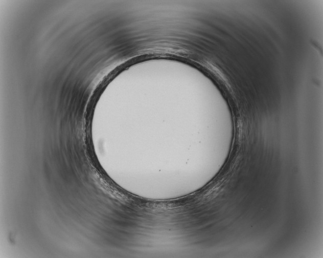 X0000102761020200809021003