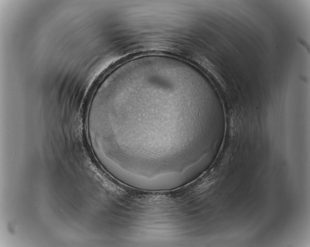 X0000102761024200809021003