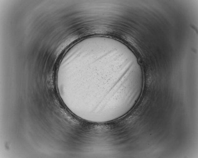 X0000102761026200809021003