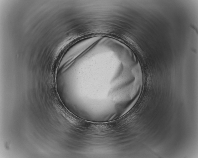 X0000102761027200809021003