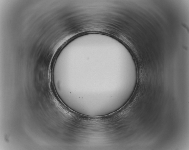 X0000102761028200809021003