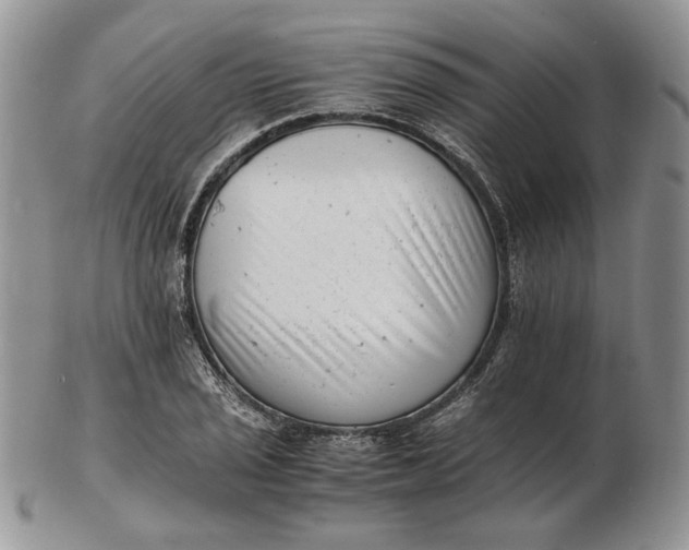 X0000102761029200809021003