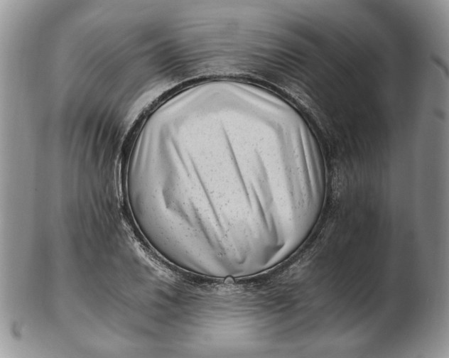 X0000102761030200809021003