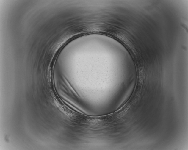 X0000102761031200809021003