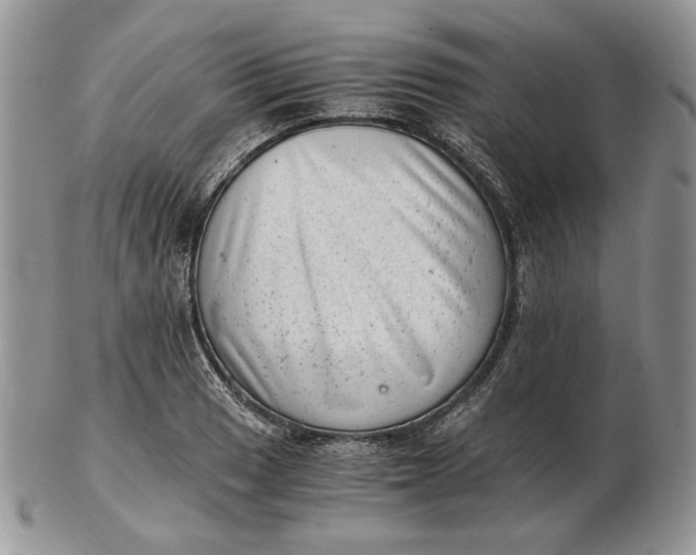 X0000102761033200809021003