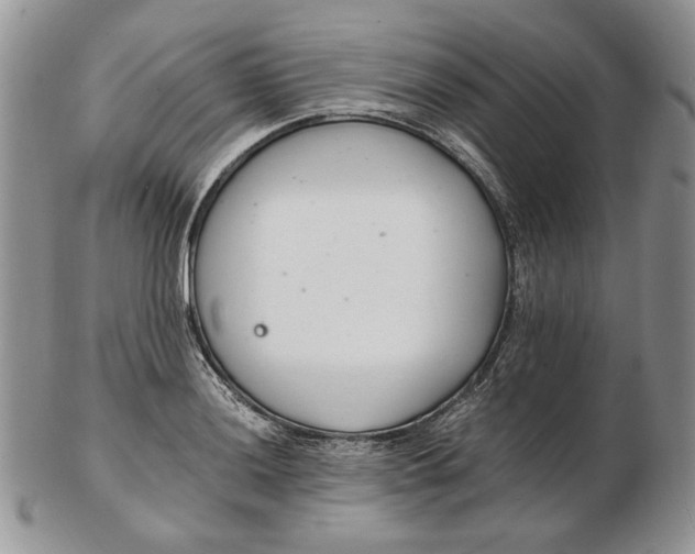 X0000102761036200809021003