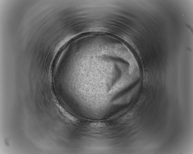 X0000102761037200809021003