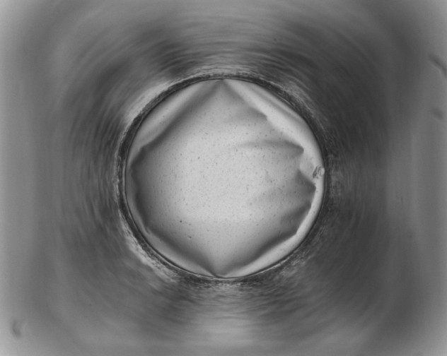 X0000102761038200809021003