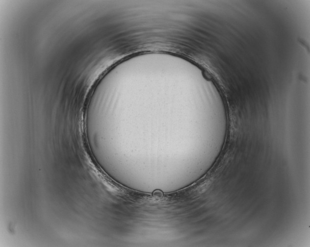 X0000102761040200809021003