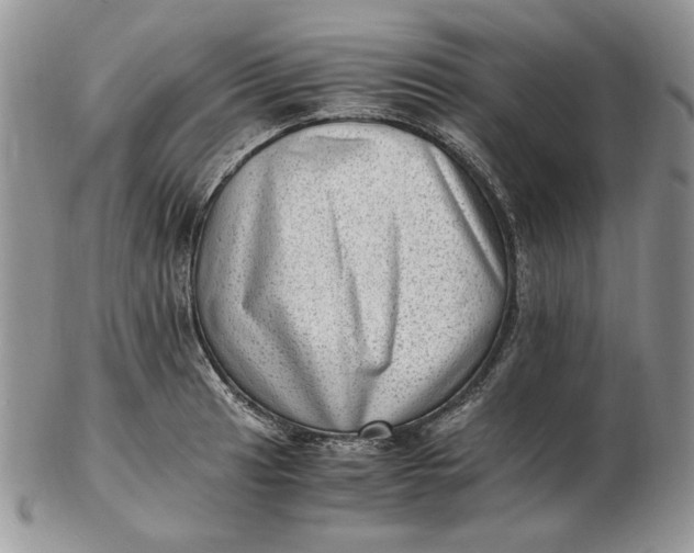 X0000102761041200809021003