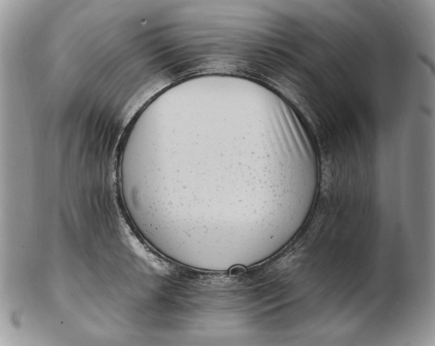 X0000102761042200809021003