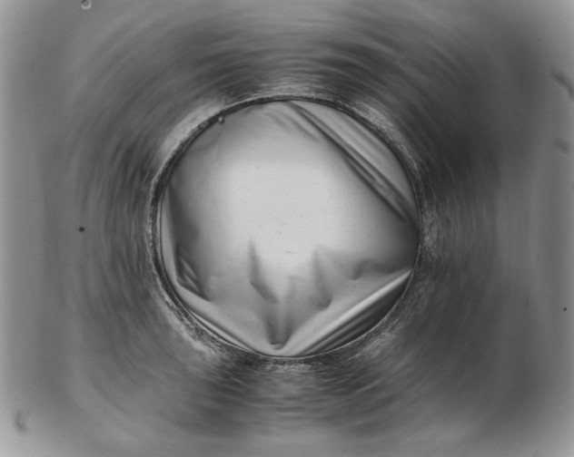 X0000102761043200809021003