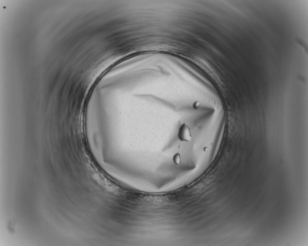 X0000102761044200809021003