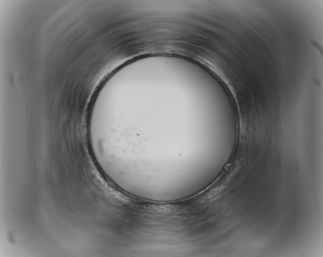 X0000102761045200809021003