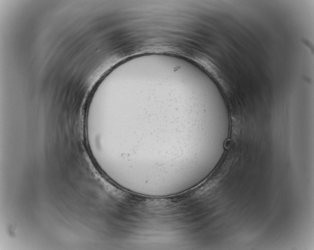 X0000102761046200809021003