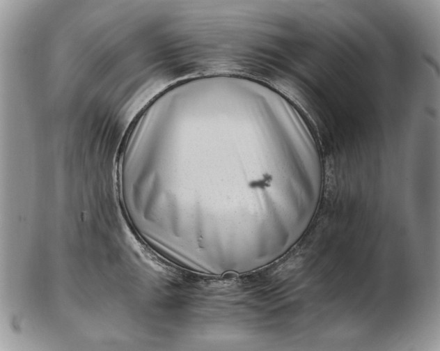 X0000102761047200809021003