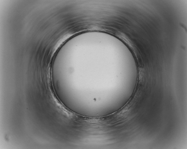 X0000102761048200809021003