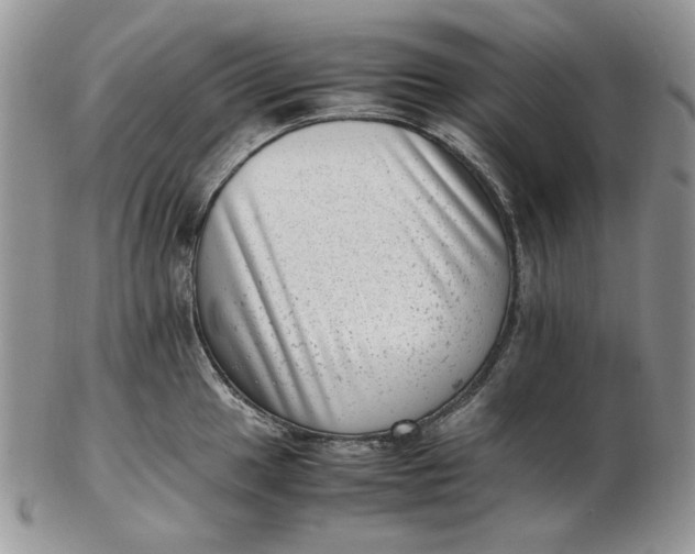 X0000102761049200809021003