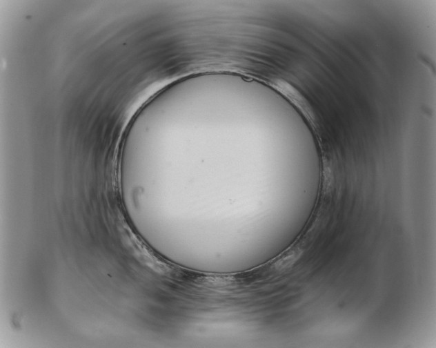 X0000102761052200809021003