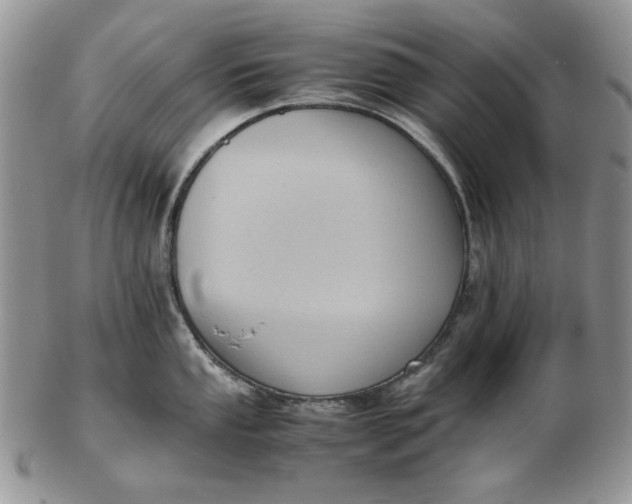 X0000102761053200809021003