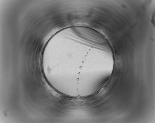 X0000102761054200809021003