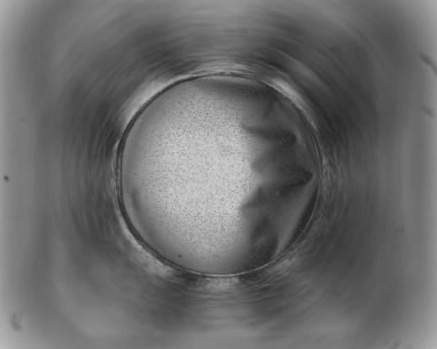 X0000102761055200809021003