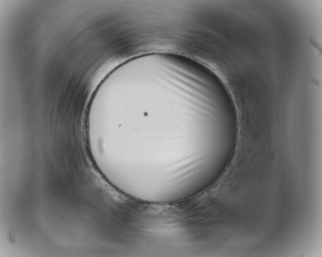 X0000102761056200809021003