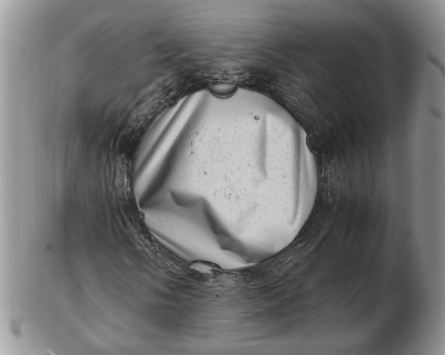 X0000102761058200809021002