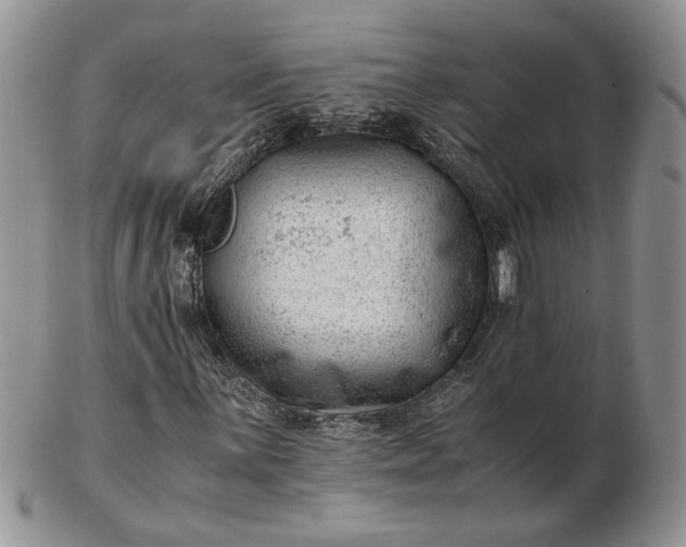 X0000102761059200809021002