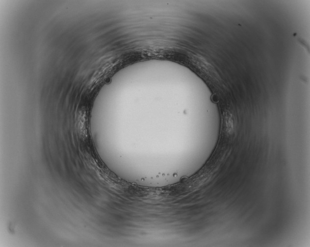 X0000102761060200809021002