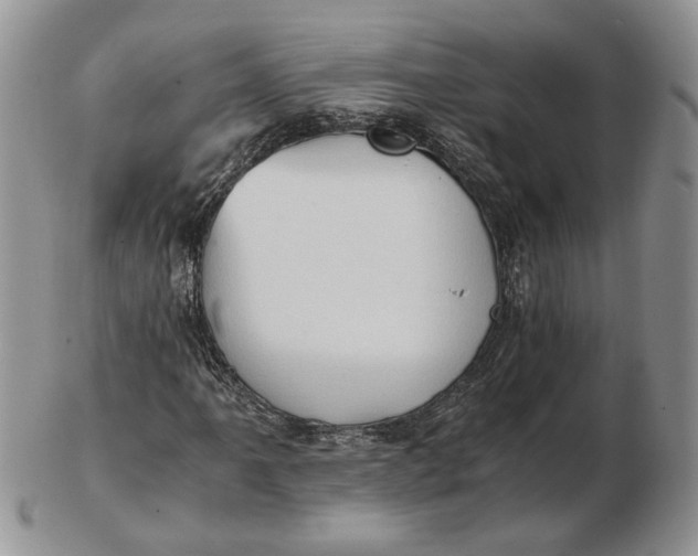 X0000102761061200809021002