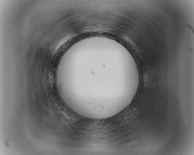 X0000102761064200809021002