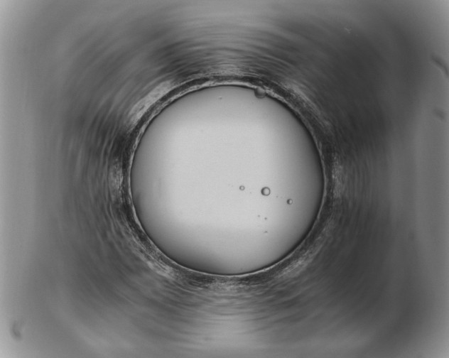 X0000102761065200809021002