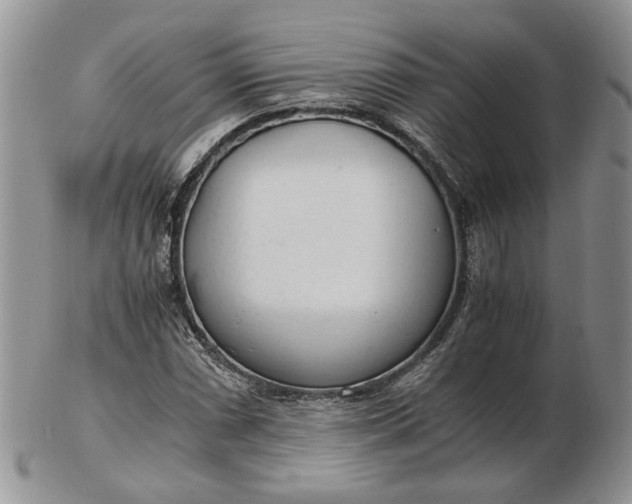 X0000102761066200809021002