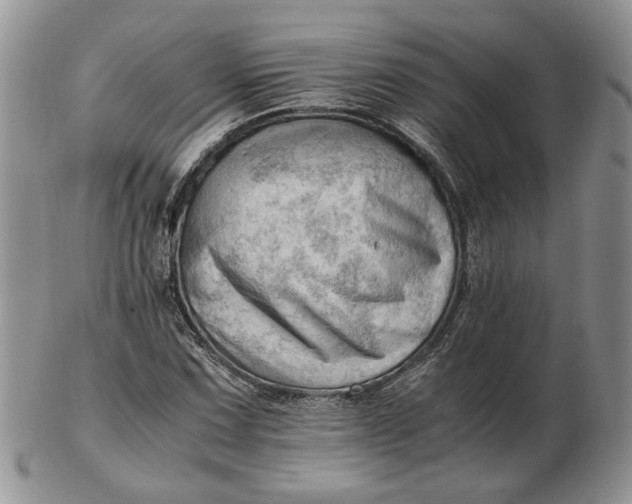 X0000102761067200809021002