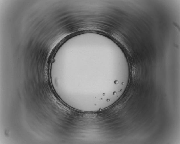 X0000102761068200809021002