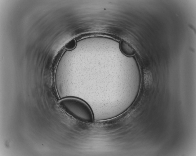 X0000102761069200809021002