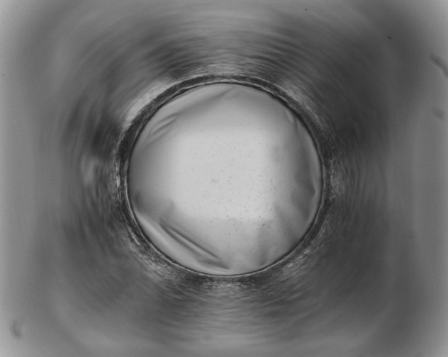 X0000102761070200809021002