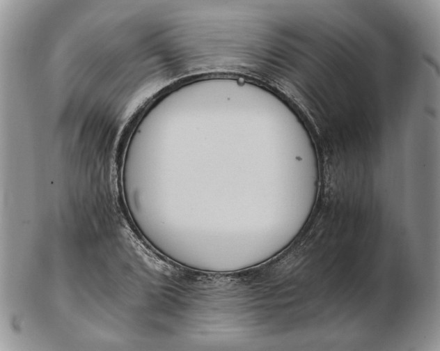 X0000102761072200809021002