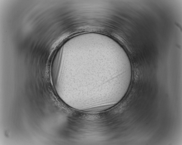 X0000102761074200809021002