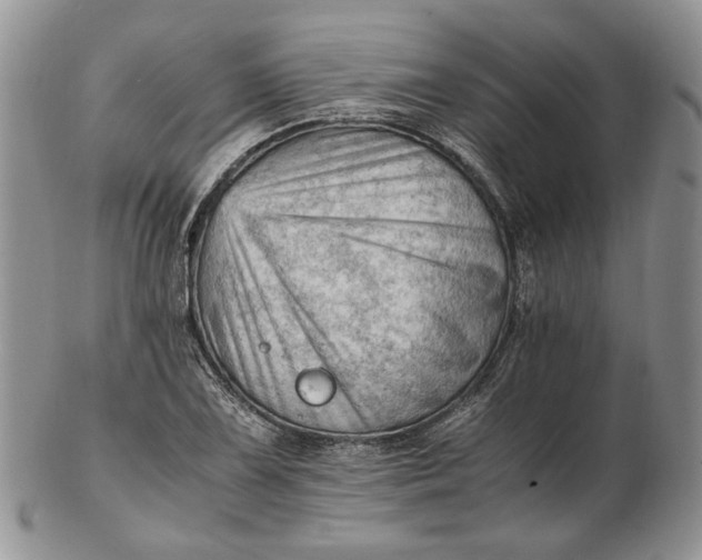 X0000102761075200809021002