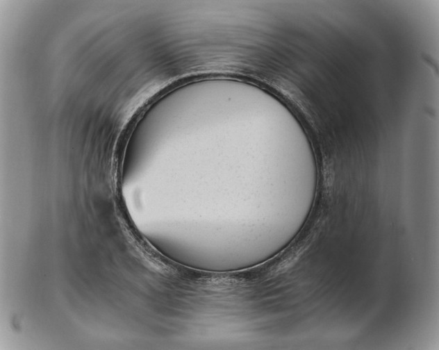 X0000102761077200809021002