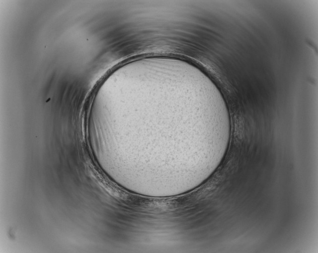 X0000102761078200809021002