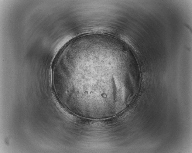 X0000102761079200809021002