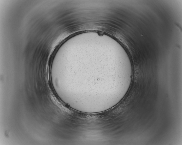 X0000102761080200809021002