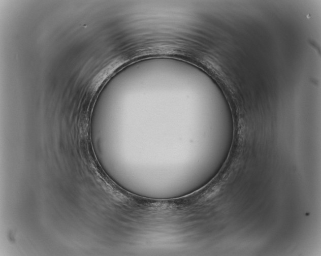 X0000102761081200809021002