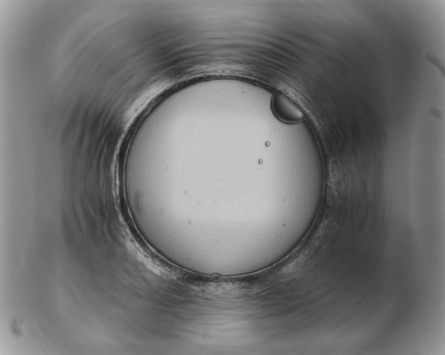 X0000102761082200809021002