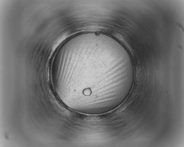 X0000102761083200809021002